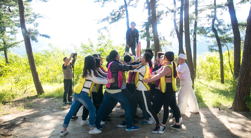 拓展训练　信任背摔