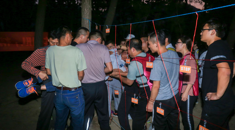 拓展训练　电网