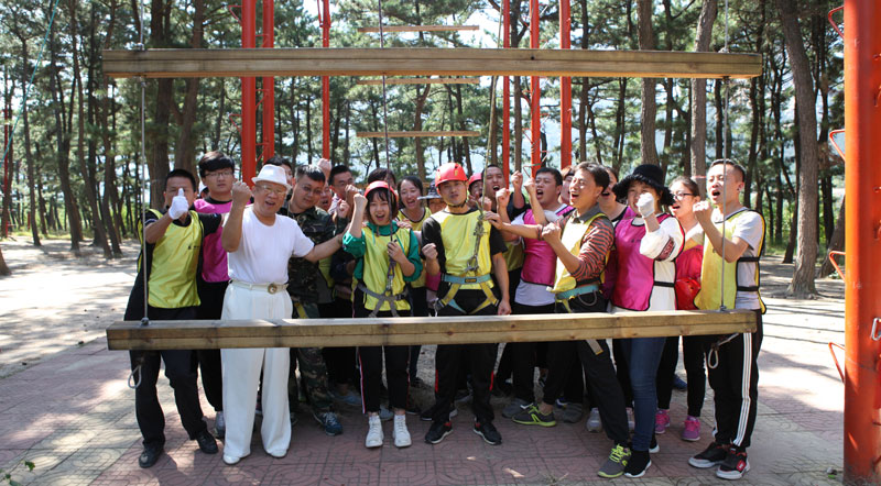 拓展训练　天梯